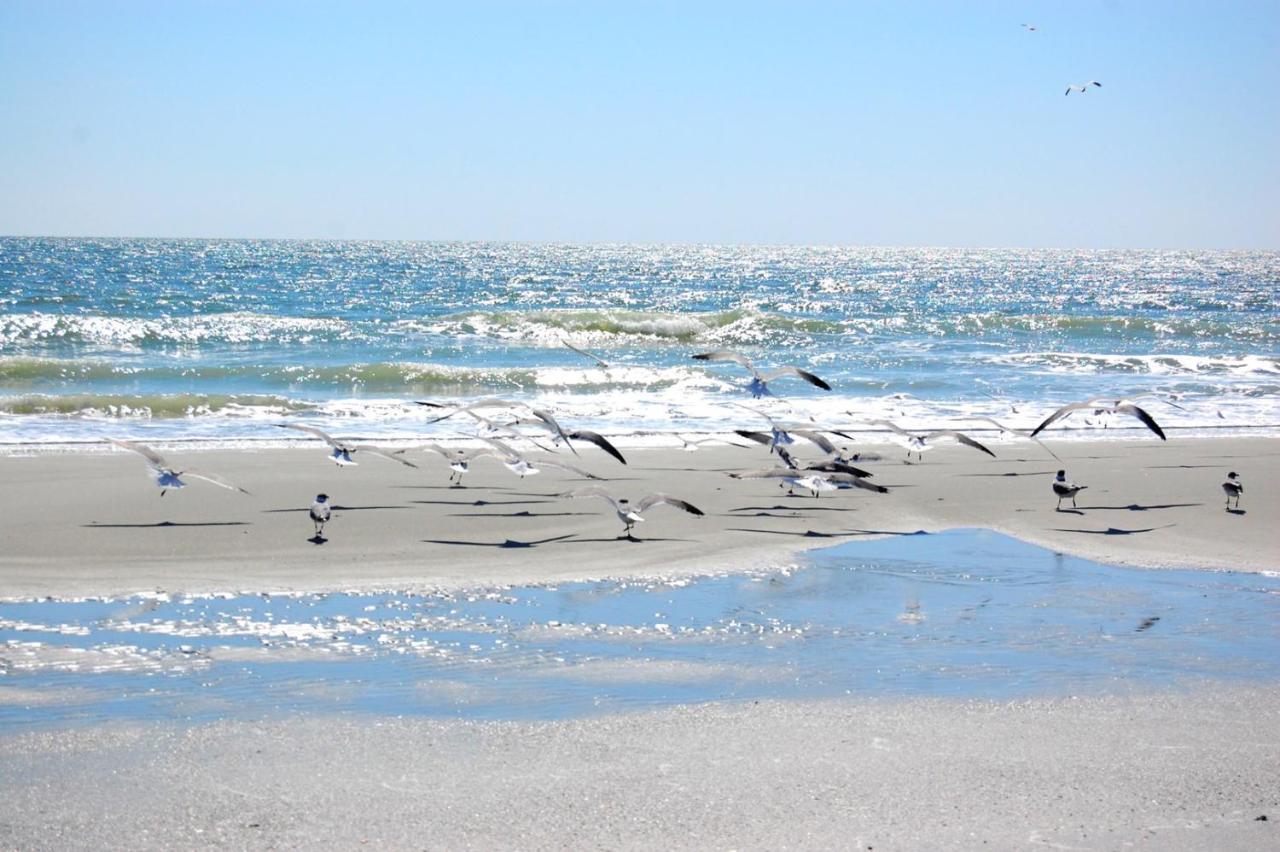 Waterpoint II 402 Apartman Myrtle Beach Kültér fotó